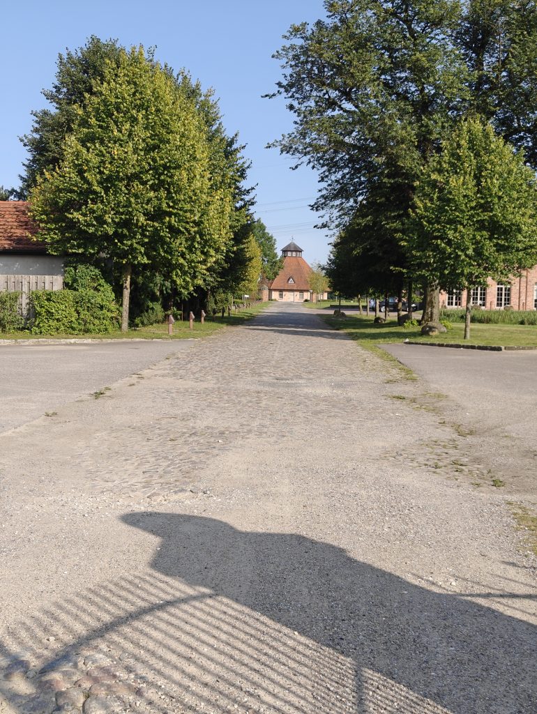 Blick auf den Fohlenstall des Gutsgeländes - hier ist Platz für uns!